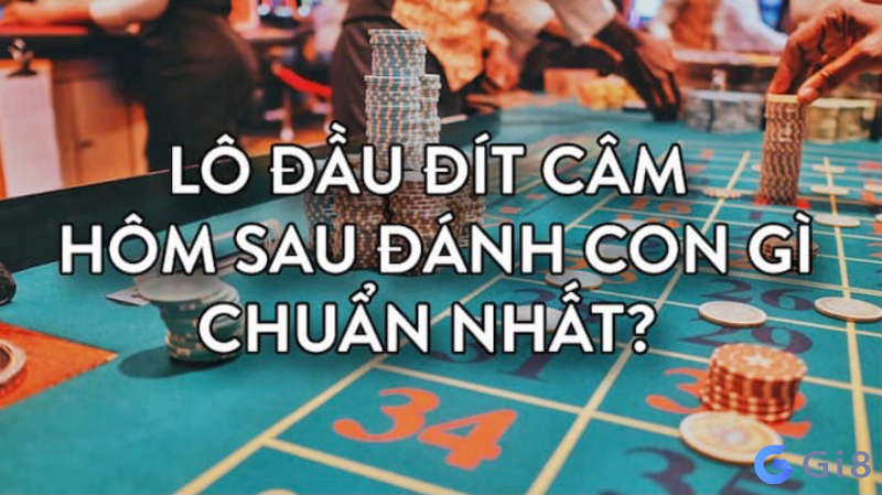 Cách đánh cam dau dit danh con gi chuẩn xác mang lại hiệu quả cao