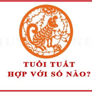 Cùng Gi88 giải đáp thắc mắc tuổi tuất hôm nay hợp số gì