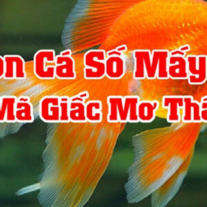 Con cá là số mấy ? Giải mã ý nghĩa của giấc mơ về cá