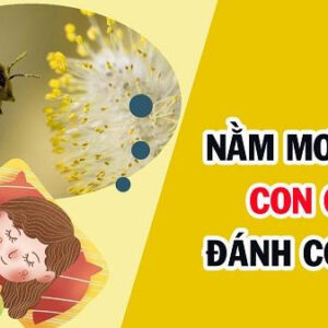 Con ong đánh số mấy? Mơ thấy ong có ý nghĩa gì?