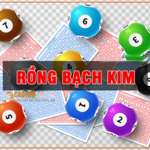 Cách soi cầu rồng bạch kim và lưu ý