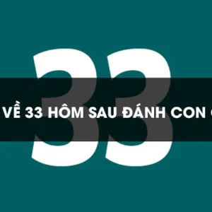 Giải đáp Đề về 33 hôm sau đánh con gì?