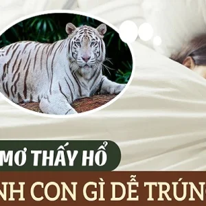 Nằm mơ thấy cọp đánh số mấy - Điềm báo của giấc mơ thấy cọp là gì?