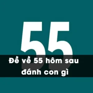 Số 55 trong cuộc sống có ý nghĩa gì? Đề về 55 hôm sau đánh con gì