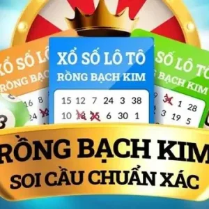 Đặc điểm nổi bật của cách soi cầu trong bạch kim