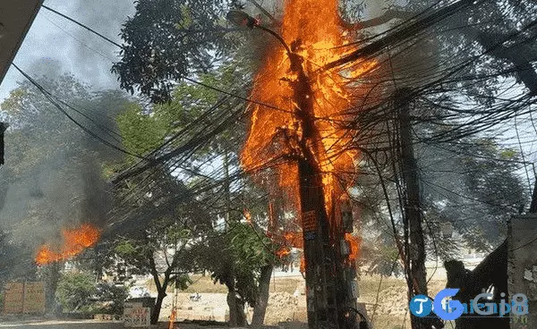 mơ lửa cháy đánh con gì