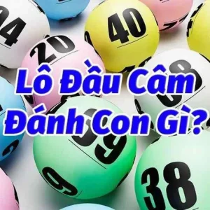 Tìm hiểu thông tin về đầu lô câm