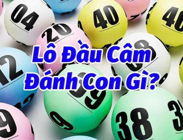 Tìm hiểu thông tin về đầu lô câm