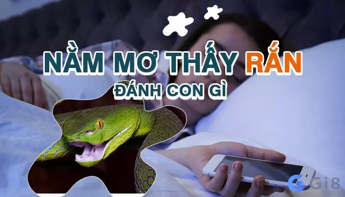 rắn số mấy