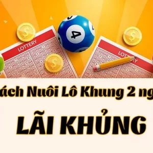 Tìm hiểu thông tin về cách nuôi lô khung 2 ngày