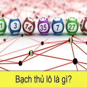 Tìm hiểu thông tin về bạch thủ và soi bạch thủ đề là gì?