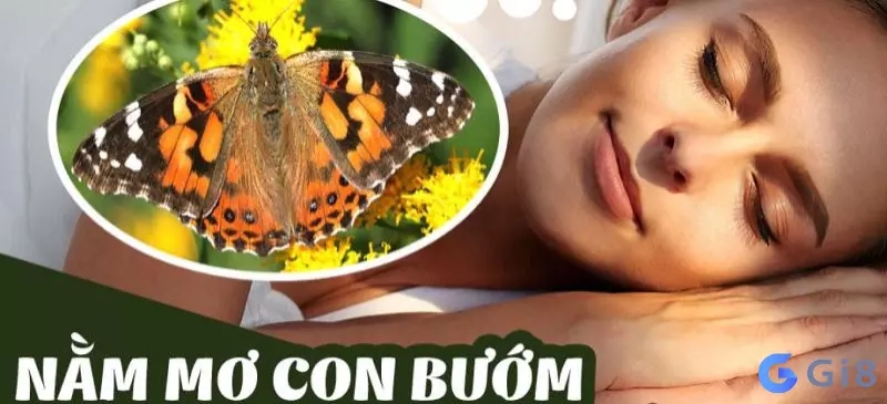 Con buom so may? Lời giải đáp từ dân chuyên