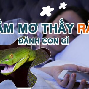 rắn số mấy đánh đề con gì ? gi88