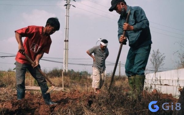 Nằm mơ cải mả đánh con gì chuẩn nhất?