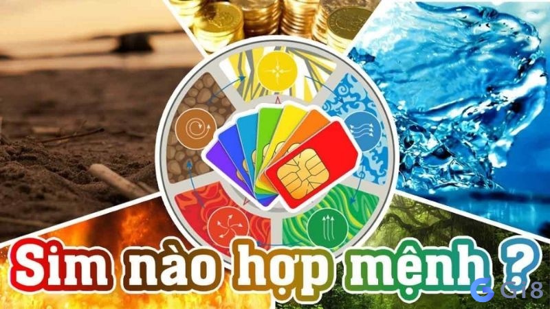 mệnh mộc hợp số nào nhất