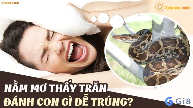 Mơ trăn đánh con gì? Giải mã các giấc mơ cùng gi88