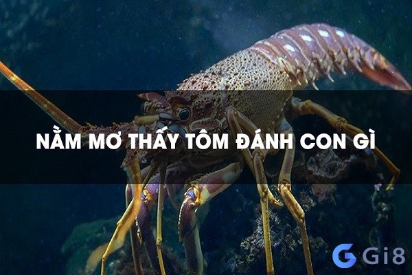 Mơ thấy tôm đánh con số gì? Mỗi giấc mơ ẩn chứa con số may mắn khác nhau