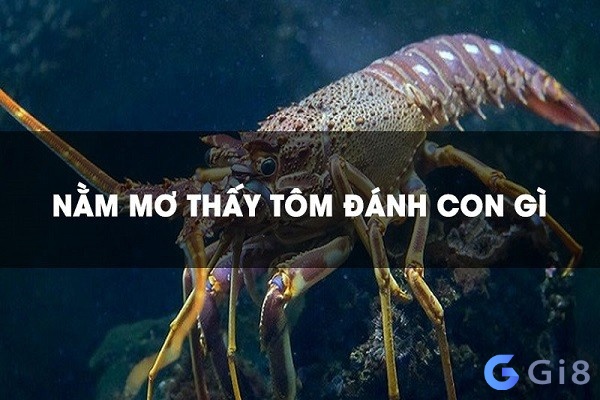 Con tôm trong số đề là số mấy? Dự báo những điều gì trong tương lai?