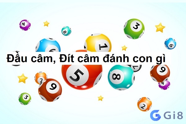 Hiểu rõ về cách đánh lô câm đầu đuôi