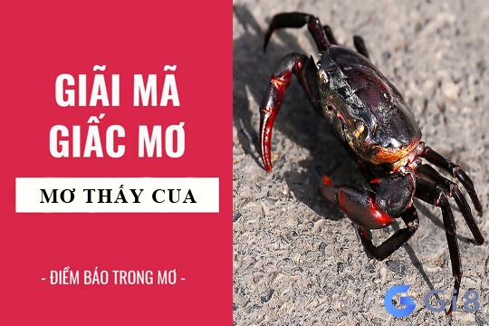 Nằm mơ thấy cua đánh số gì?