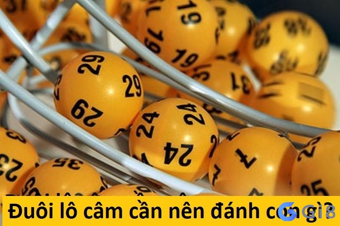 Đuôi lô câm cần nên đánh con gì?