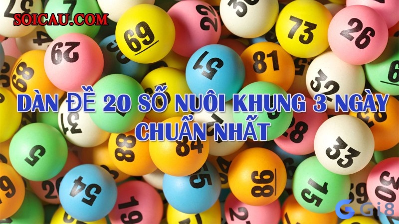 Các cách nuoi dan 20so khung 3 ngay chuẩn xác nhất