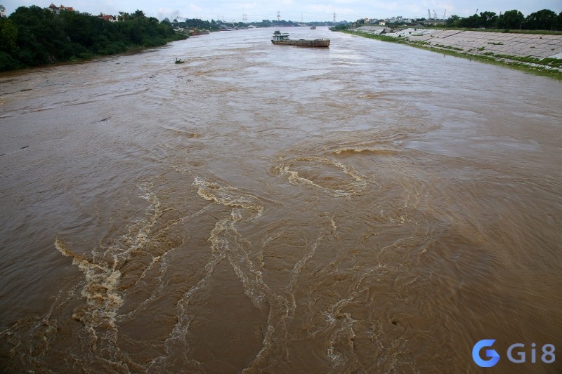 Nằm mơ thấy cảnh nước sông mùa lũ