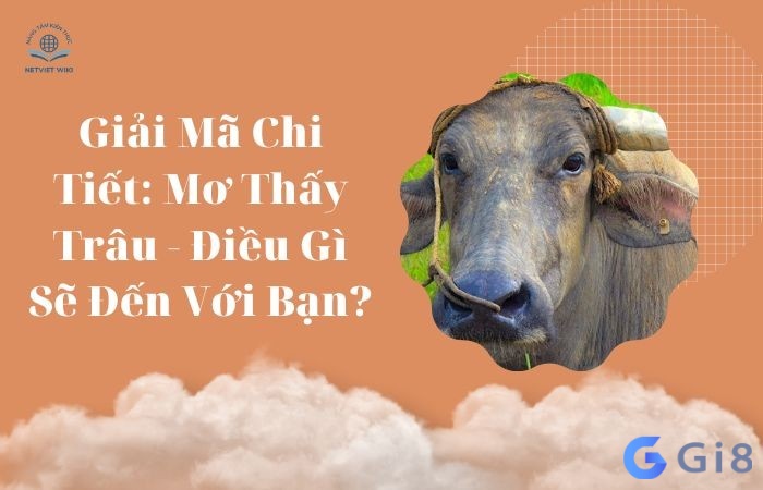 Mơ thấy giết trâu mang đến điềm gì