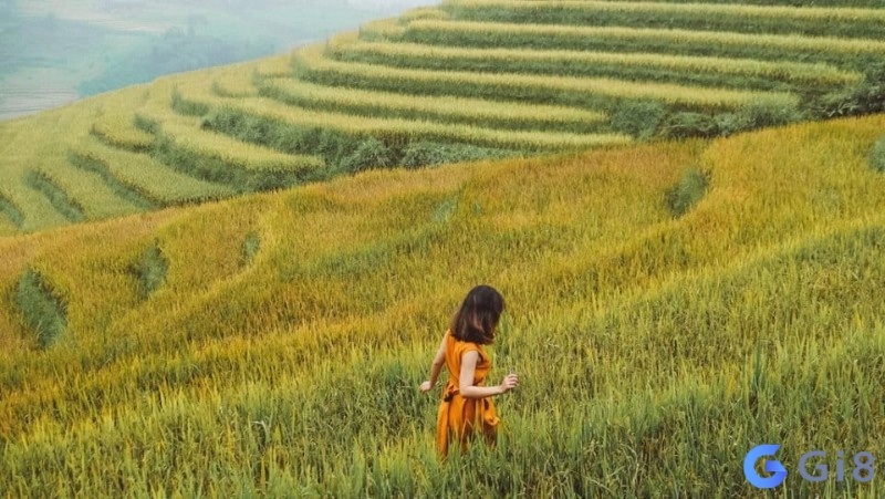 Nằm mơ bao thấy đang đi du lịch một mình khá phổ biến