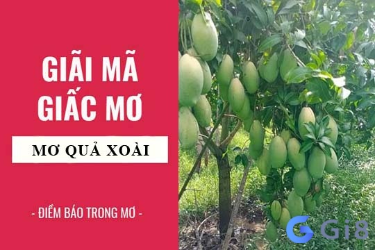 Mơ thấy xoài có thể là tốt và xấu xen kẽ, nằm mơ thấy xoài chín đánh số gì?