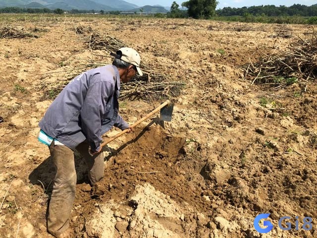 Lý giải mộng cuốc đất