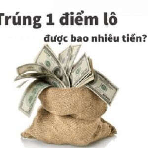 Đánh 1 điểm lô mất bao nhiêu tiền cách tính tránh bị lỗ